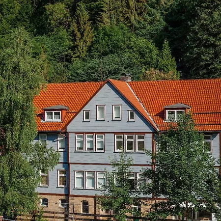 Appartement Gemuetliche In By Interhome Lerbach